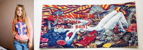 apvp Волоколамск