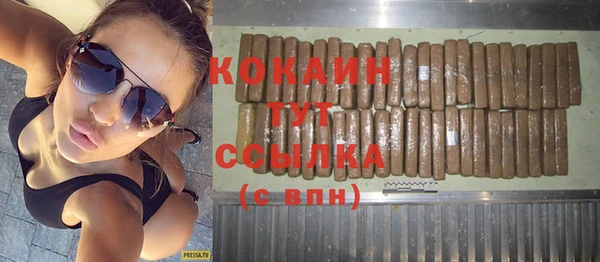 индика Ростов
