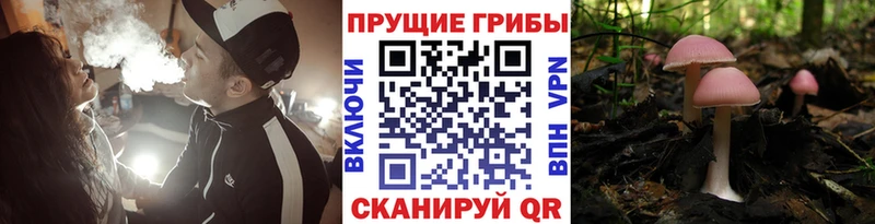 Галлюциногенные грибы мицелий  Зеленокумск 